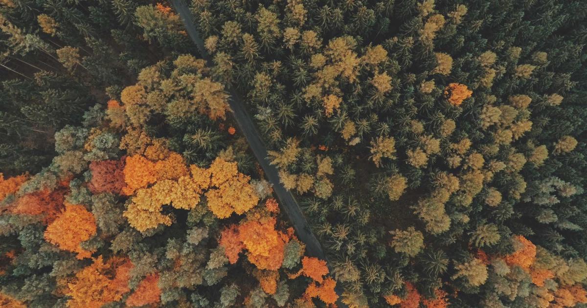 OpenClawとは？AIエージェントプラットフォームの全貌を解説