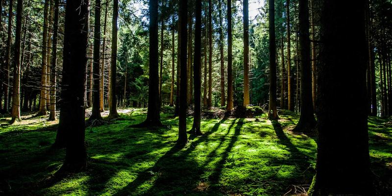 AIモデル比較イメージ