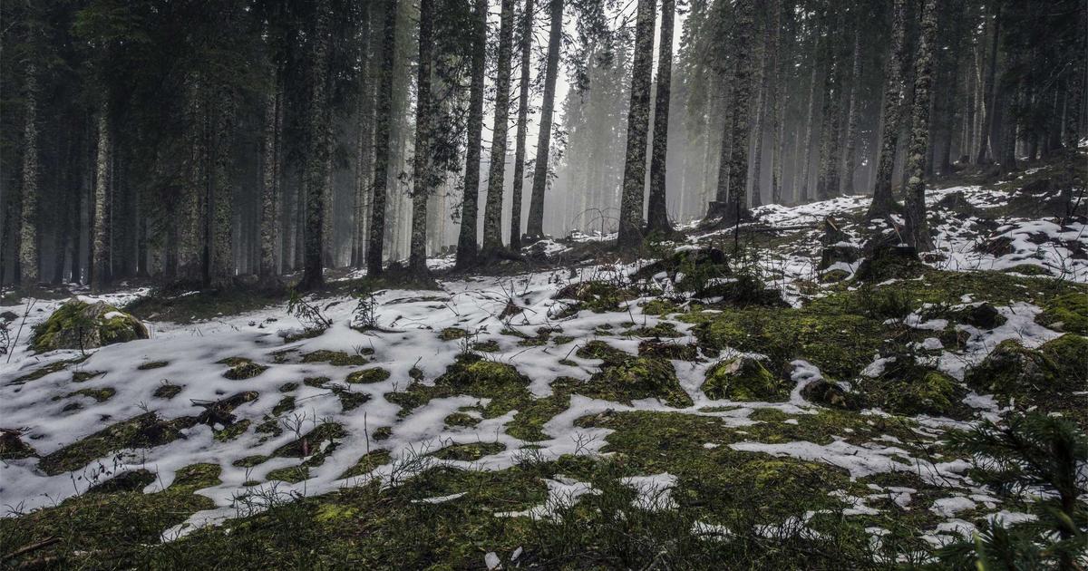 サーバーイメージ