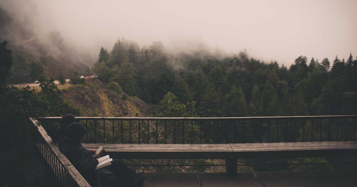 Moltbookの始め方【2026年版】